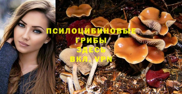 бутират Алексин