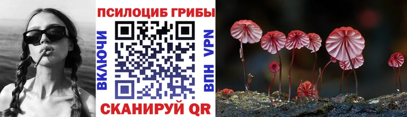 Галлюциногенные грибы Cubensis  Саратов 