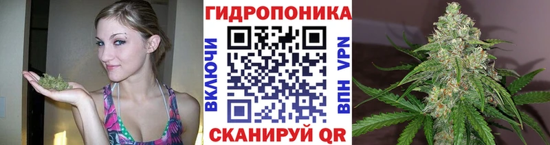 сколько стоит  Саратов  Конопля LSD WEED 